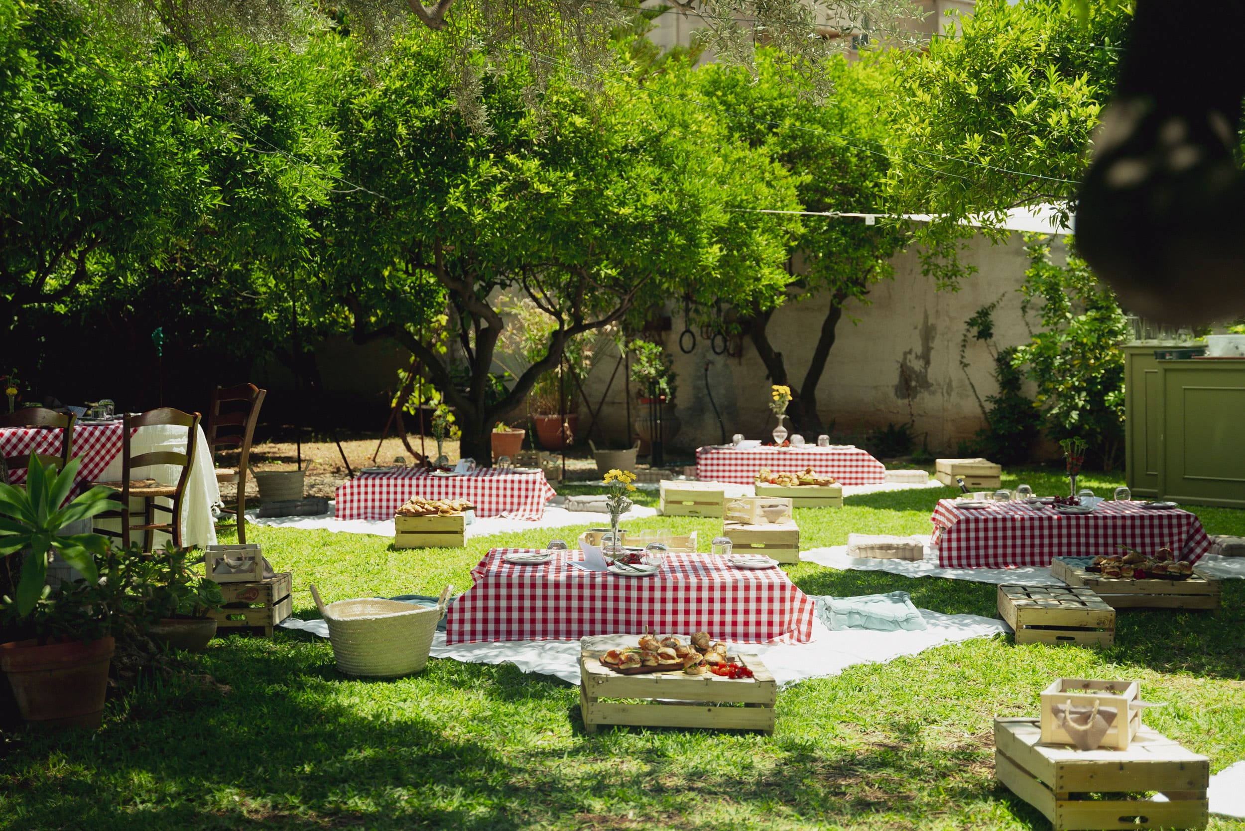 PIC-NIC