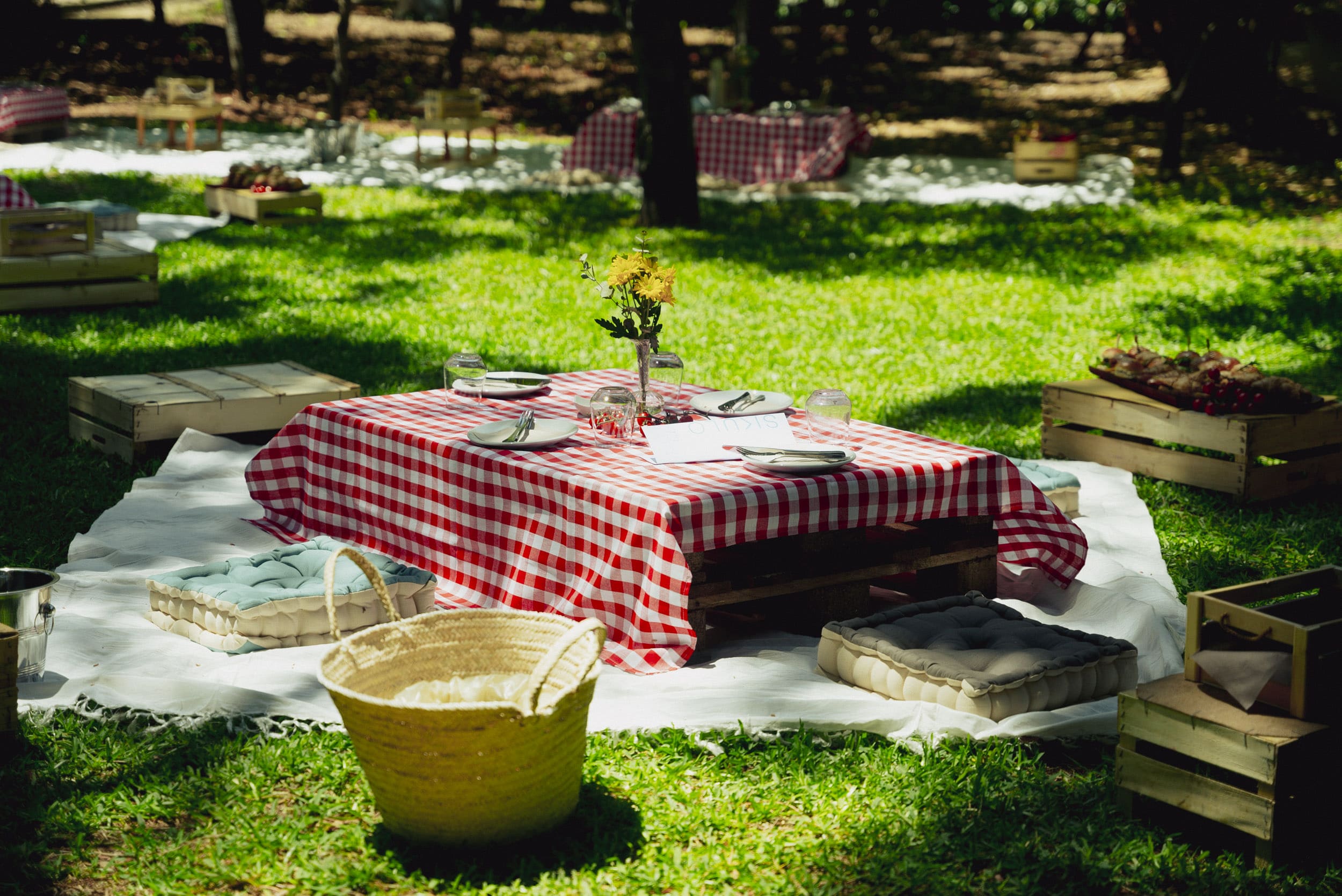 Picnic